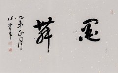 鷨11