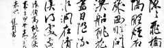 鷨